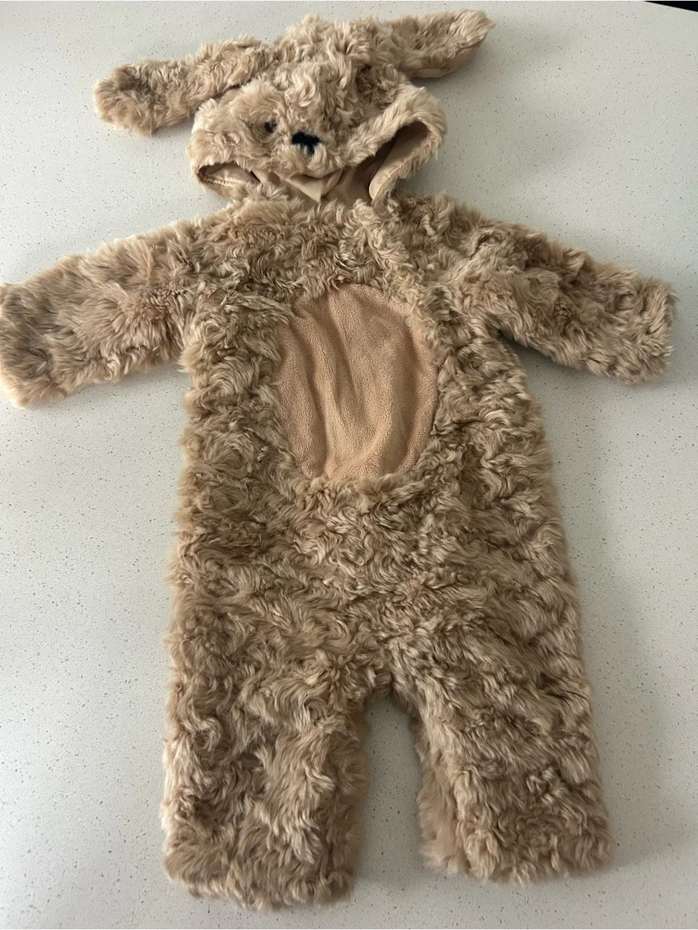 Pottery Barn Baby Labradoodle Dog Halloween Costume 0-6 Months - Picture 2 of 6